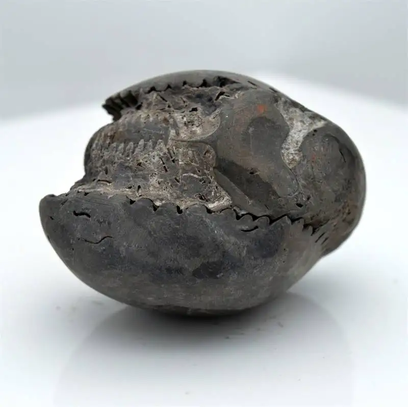 Previous Product Image