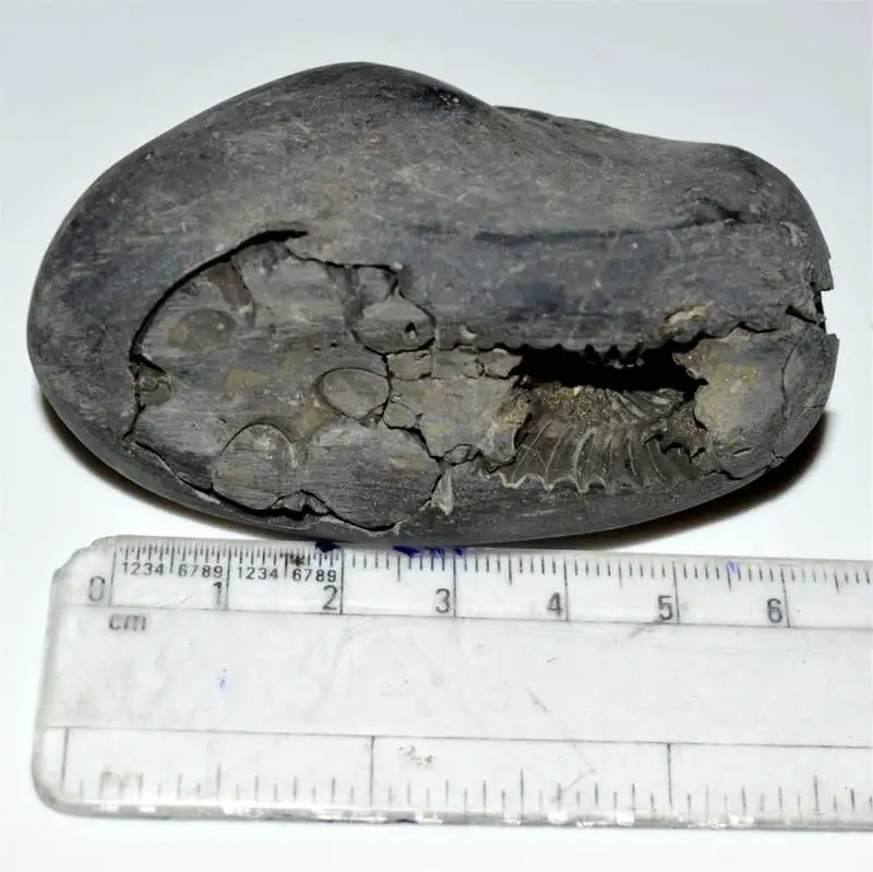 Previous Product Image